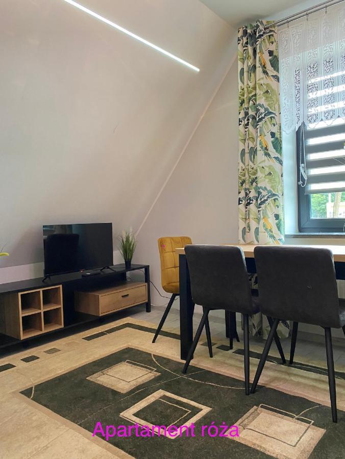 Apartament Roza Wierzchucino Exterior foto